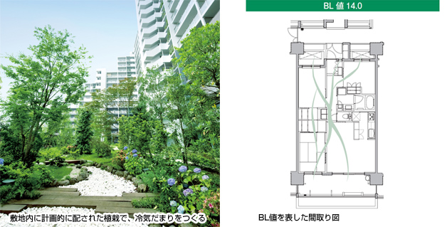 敷地内に計画的に配された植栽で、冷気だまりをつくる。BL値を表した間取り図