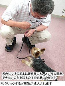 犬のしつけは基本は褒めること、という太田氏。できないことを怒るのは逆効果なのだとか