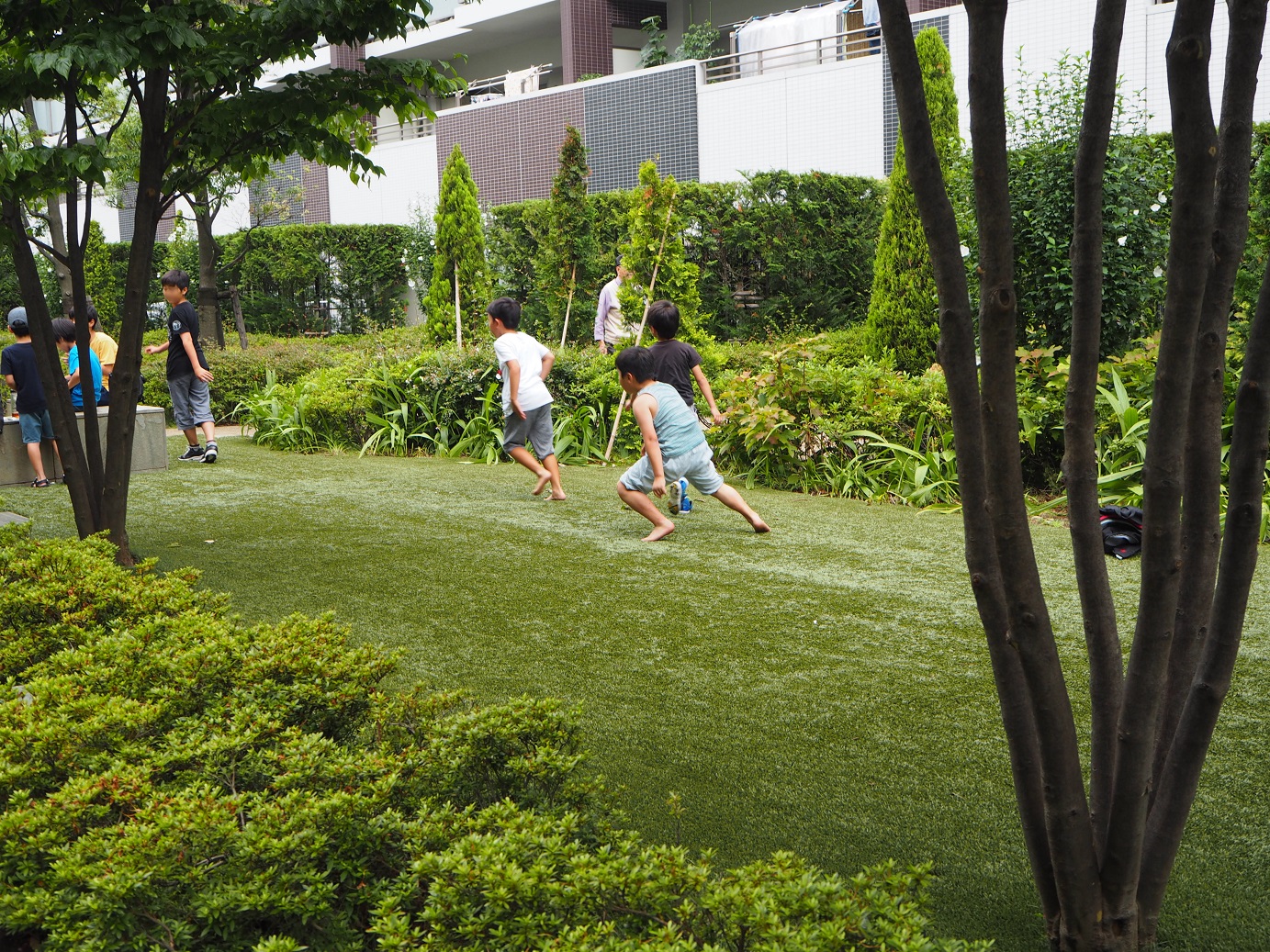 改訂 緑化・植栽マニュアル | 中島 宏 |本 | 通販 | Amazon