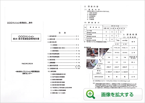 報告書（抜粋）1