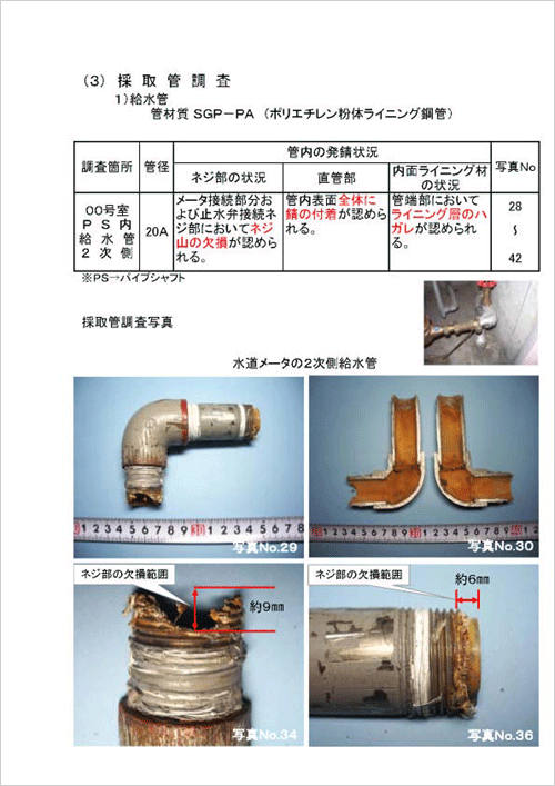 報告書（抜粋）4