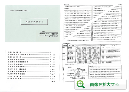 報告書（抜粋）1