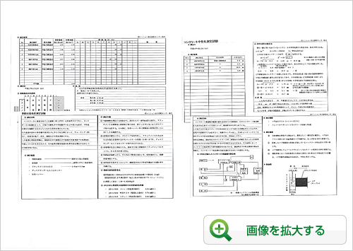 報告書（抜粋）2